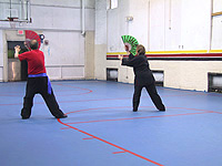 Chasing the Wind Fan Form